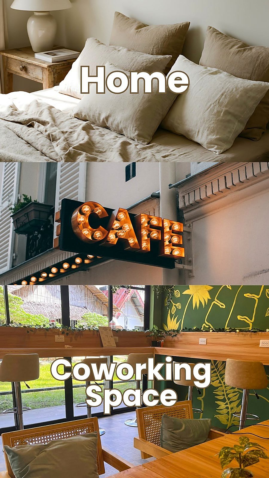 Cozy RE: Café coworking space interior in San Jose, Antique